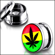 Anodized Externally thread logo picture 316l stainless steel screw on flesh tunnel,ear plugs,ear tap